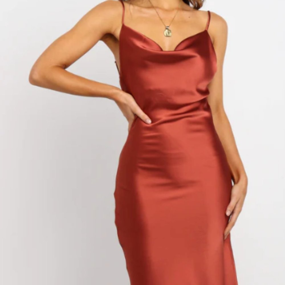 Petal & Pup Cyprus Dress in Rust, size 0 - Picture 3 of 7